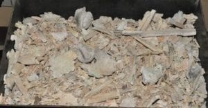 Cremated Ashes
